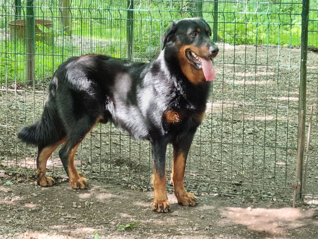 Un beau gosse du royaume d elsa